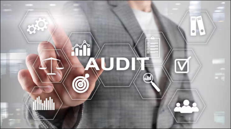 A Detailed Overview of the QMS Internal Audit Procedure Word Template