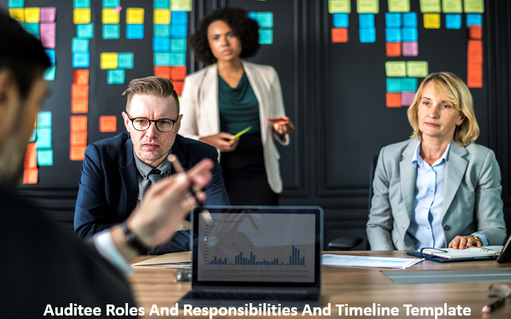 Auditee Roles And Responsibilities And Timeline Template In Internal Audit