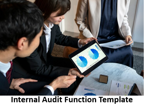 Establishing an Internal Audit Function Template
