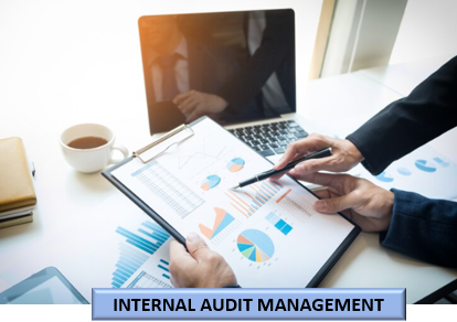 The Ultimate Guide to Effective Internal Audit Management