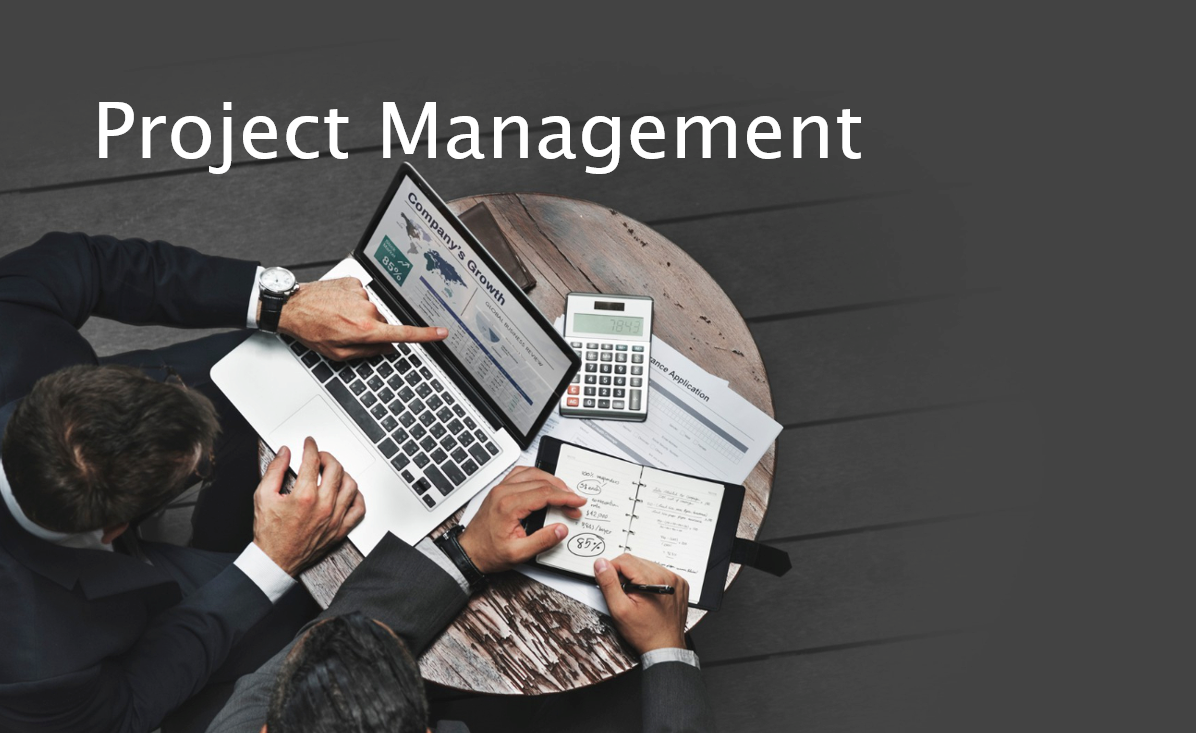 Mastering the Art of Project Management: Methodologies, Importance and ...