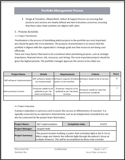 Portfolio Management Process Template