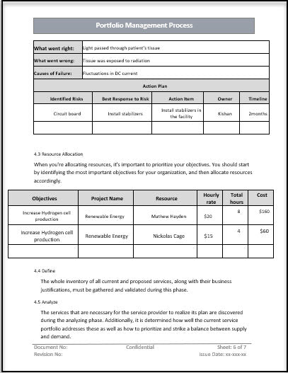 Portfolio Management Process Template